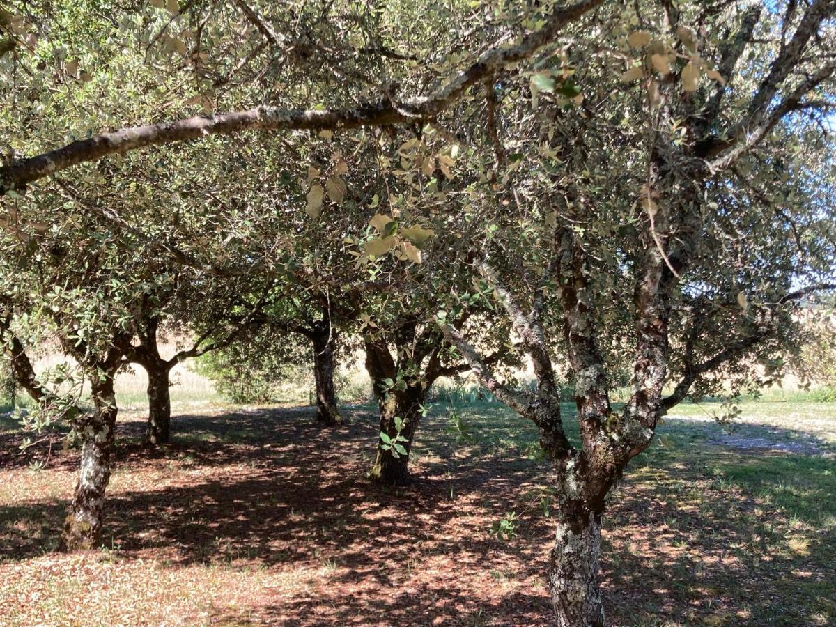 Le Murmure Des Fees Issigeac エクステリア 写真