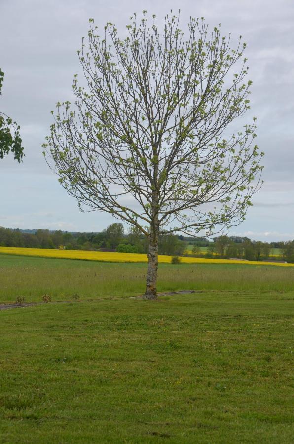 Le Murmure Des Fees Issigeac エクステリア 写真
